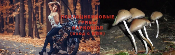 мефедрон мука Инсар