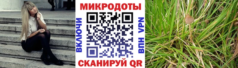 Купить где  Мариинский Посад  Галлюциногенные грибы Psilocybine cubensis 